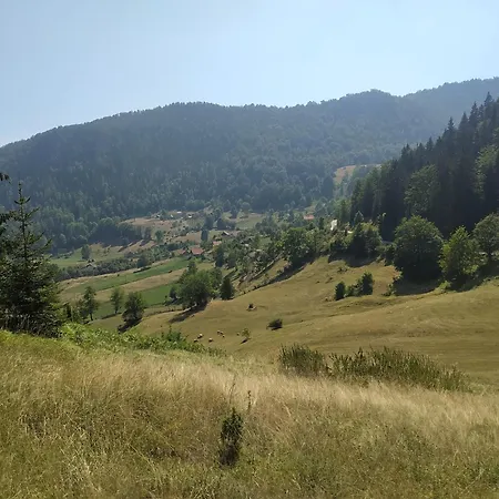 Tatil Evi Vikendica Studenac Bajina Basta